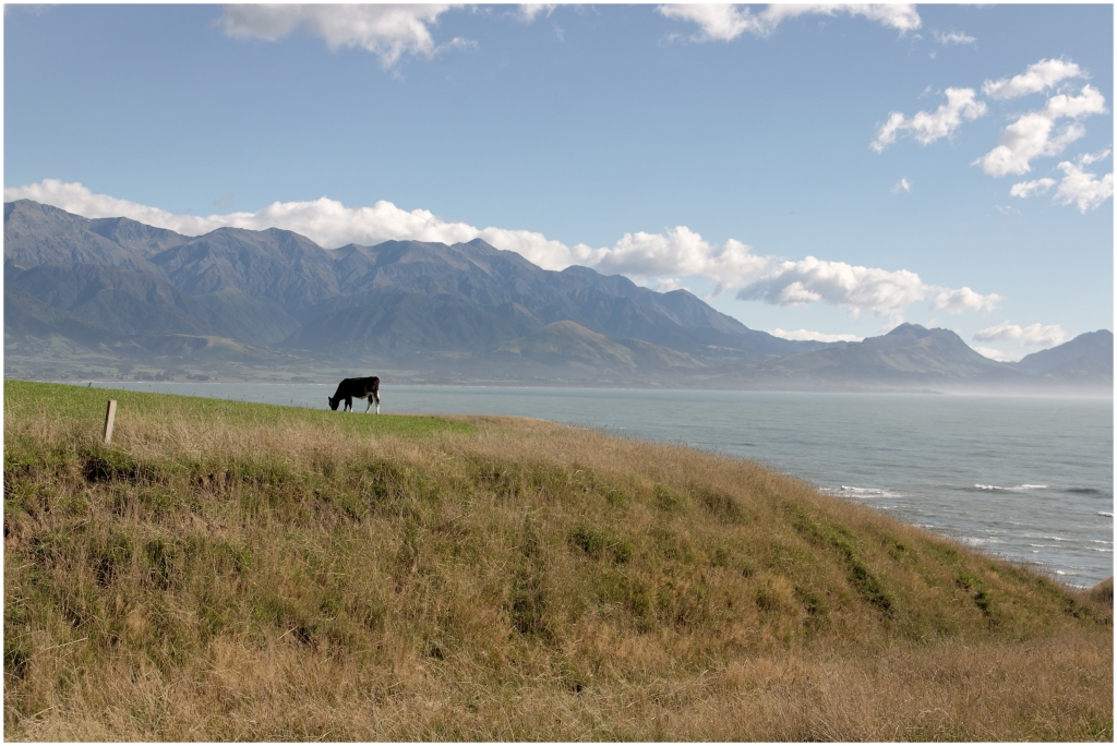 14 - Kaikoura (01).jpg